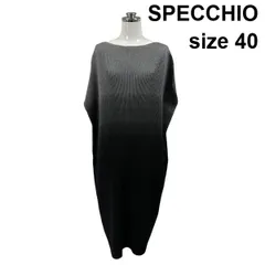 □ スペッチオ SPECCHIO プリーツワンピース ひざ丈 半袖 ボートネック フレンチスリーブ グラデーション 40 L 11号 レディース S6E508のサムネイル