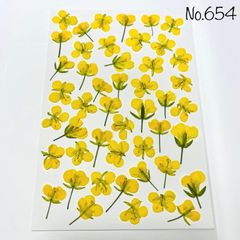 押し花素材 菜の花 （50） 匿名配送 - メルカリ