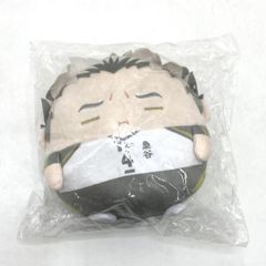 ハイキュー くじメイト ぬいくじC賞 ふわコロリン 木兎光太郎 - メルカリ