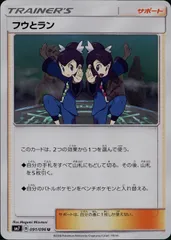 091/096/SM7/フウとランのサムネイル