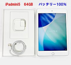 iPad mini 5 Wi-Fi 64GB ゴールド バッテリー93%おまけ付 - メルカリ