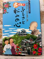 図録】 色絵祥瑞・南京赤絵・康煕五彩 明末・清初の五彩磁器 (1993年