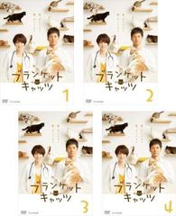 ブランケット・キャッツ DVD-BOX〈4枚組〉 美品 ドラマ 西島秀俊