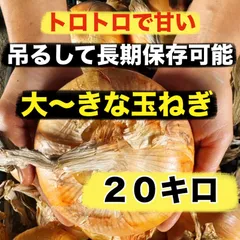 大きなビッグ玉ねぎ２０キロ‼️トロトロ甘い玉ねぎ‼️のサムネイル