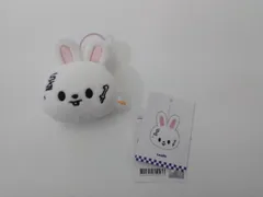 Stray Kids LEE KNOW KARMA POPUP SKZOO NAME TAG Leebit スキズ リノ ネームタグ