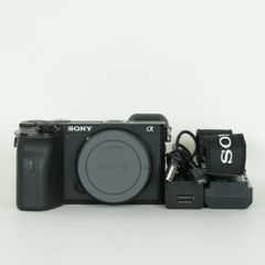 極低2090枚！】SONY α6600 ズームレンズセット ILCE-6600 - メルカリ