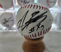 阪神タイガース 大山悠輔 直筆サインボール 球団ロゴ入り球 - メルカリ