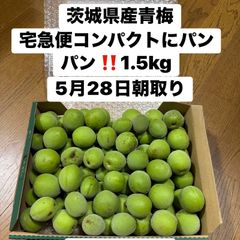 国産冷凍ファジーマウスL 100匹 送料込 即日発送 同梱可 - メルカリ