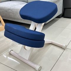 宮武製作所 プロポーションチェア 姿勢矯正 補助クッション カラー