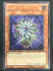 遊戯王 グローアップバルブ 英語 1st レリーフ - メルカリ