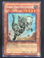 英語版 遊戯王 フォッシル・ダイナ・パキケファロ 1st シークレット