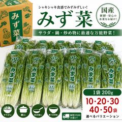 北海道産 天然こごみ 60サイズ箱込2kg以内 終盤間近‼️ - メルカリ