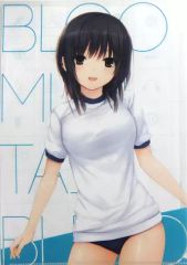 珈琲貴族 クリアファイル BLUEMOUNTAIN BLEND 青山澄香 - メルカリ