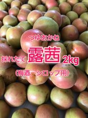 露茜 L〜2L 15kg 和歌山県産 梅酒 シロップ ジャム 露茜 2kg 梅酒 シロップ ジャム 和歌山県産 2L - メルカリ