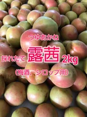 【数量限定】採れたて【露茜(つゆあかね)】2kgのサムネイル