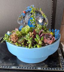 26052808多肉植物の寄せ植え☆青い家 - メルカリ