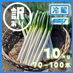 鳥取県産 白ネギ「春香葱」 10kg ナンパク多め 長ネギ - メルカリ
