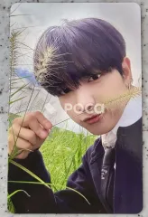 The Action COMEBACK SHOWCASE LIVE Weverse