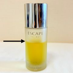 資生堂ゼファZEPHYRコロンピュアミストSHISEIDO120ml男性香水廃盤