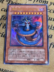 遊戯王 毒蛇神ヴェノミナーガ 毒蛇王ヴェノミノン 英語版 3枚 A15
