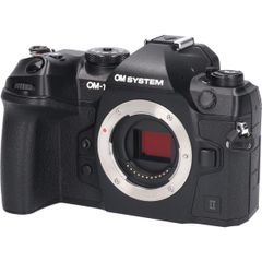 OM SYSTEM OM-1 Mark II ボディ 美品 シャッター数977回 - メルカリ