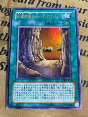 遊戯王 王家の眠る谷−ネクロバレー ウルトラパラレルレア - メルカリ