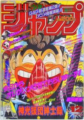 バンダイ ドラゴンボール CARD GAME SPカード 守りぬく決意 SP-22
