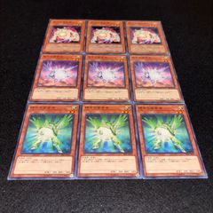 遊戯王 No.5507 閃光の追放者 紫光の宣告者 緑光の宣告者 9枚 - メルカリ