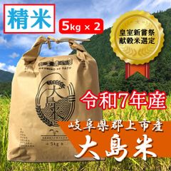 令和7年度産 千葉県産こしひかり 精米25kg✳︎新鮮野菜おまけ付