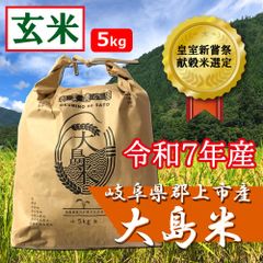 令和7年栃木県産コシヒカリ4.8kg - メルカリ