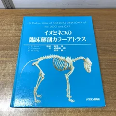 2026年最新】犬の解剖アトラスの人気アイテム - メルカリ