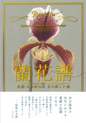 北国の華 嵐慧子さんを偲ぶ 創価学会 聖教新聞社【希少・絶版本