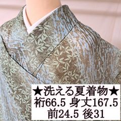 夏着物 夏 絽 小紋 アイボリー 枝葉 身丈160cm 裄丈66cm 正絹 - メルカリ