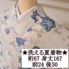 洗える着物 2点セット 単衣 小紋 正絹名古屋駅付き 深紫色 菊 トール