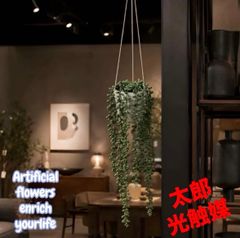 光触媒 観葉植物 ウォールグリーン フェイクグリーン フィットニア