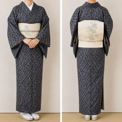 お買得】夏着物と帯セット 小紋 普段着 夏コーデ 紗 着丈161㎝ - メルカリ
