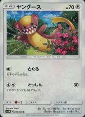 050/066/SM5M/ヤングースのサムネイル