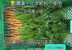 京都府産 乾燥にんじん葉 300g 栽培期間中農薬 化学肥料不使用 人参葉