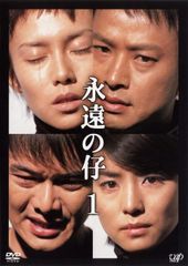 日本ドラマ 太陽の季節 DVD全巻 滝沢秀明 池脇千鶴 レンタル落ち 石原