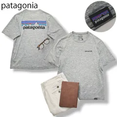 【定番】 パタゴニア patagonia 45235 半袖 キャプリーン クール デイリー グラフィック シャツ Tシャツ XS グレー アメカジ ストリート カジュアル メンズ 男性用