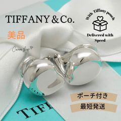 ✨TIFFANY ティファニー バイ ザ ヤード™ ピアス アクアマリン 片耳