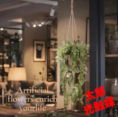 光触媒　人工観葉植物　ウォールグリーン　フェイクグリーン　フィットニアハンギング@@@のサムネイル