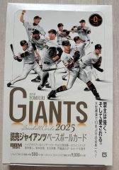 お宝】阪神タイガース 掛布雅之 レジェンドレプリカユニフォーム 1985