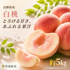 予約】長野県産ネクタリン 3kg クール便 - メルカリ