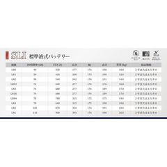 シンガポール航空 ユニバーサルトラベルアダプター USBソケット付き