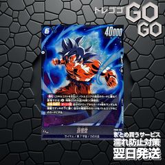 パン：GT【SR】{FB09-112}4枚 プレー用 DUAL EVOLUTION [FB09] 5