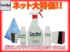 博コートプラス＆博コート大容量500mlセット - メルカリ