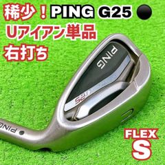 希少フレックス PING ANSER アイアン FORGED 6本 R2 紫 希少フレックス