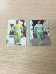 ux429 BBM大相撲カード 1999 カード まとめ 前頭 北の湖部屋 前頭 間垣部屋 巌雄謙治 若ノ城宗彦 2枚 100 101 BBM スポーツのサムネイル