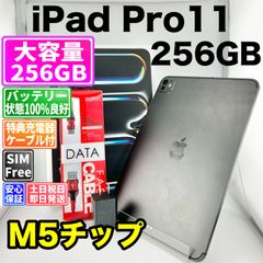彩様専用中】iPad Pro m5いろいろおまけ付き - メルカリ